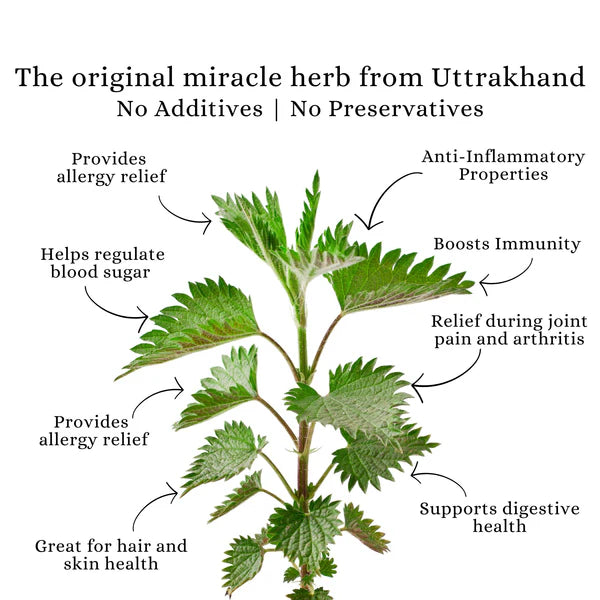 NETTLE TISANE | HEAL | Loose | Pure Leaf(2 x 30g)