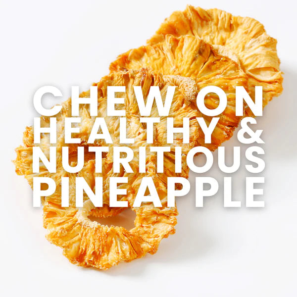 Solar Dried Pineapple Chips for Healthy Snacking(2 x 100g)