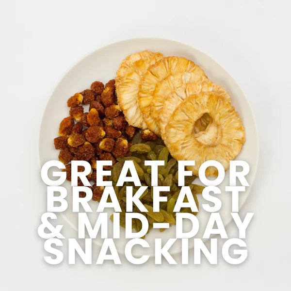 Solar Dried Pineapple Chips for Healthy Snacking(2 x 100g)