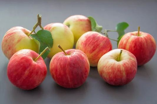 Apple Jammu Kashmir 1 kg