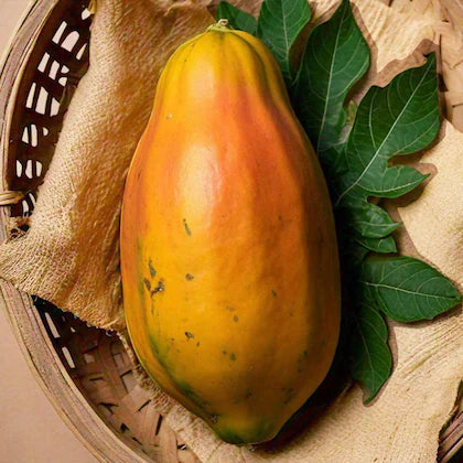 Papaya Normal (Papita) 1.5 kg approx