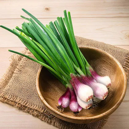 Spring Onion 1 bunch (Approx 100 g - 250 g)